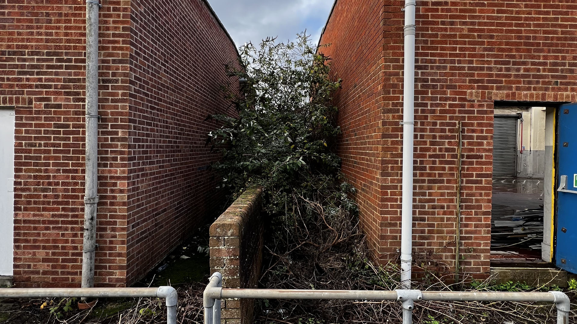 Who Should You Contact First — The Council, a Surveyor, or Your Neighbour Plymouth?